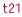 t21